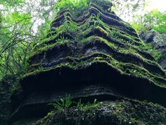 -梭布垭石林景区