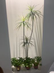 点击看大图 -VE小颜皮肤管理&科学美肤中心