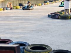 -合肥滨湖国家森林公园