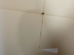 -吾悦广场(渭南店)