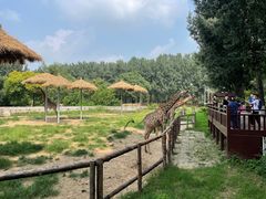 -北京野生动物园