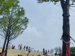 -滆湖低碳生态公园
