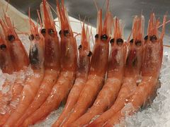 -上渔铁板烧(熙悦汇店)