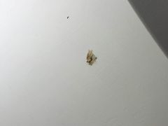 -苏州环秀晓筑养生度假村