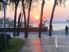 -宝安西湾红树林湿地公园