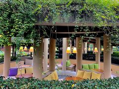 -青城山六善酒店·紫氣園中餐厅