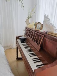 -十月孕记孕妈妈摄影