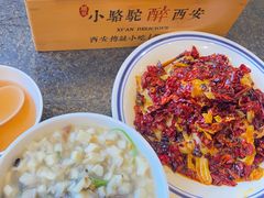 -福苗小骆驼烧烤(中关村店)