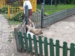 -俄罗斯风情小镇