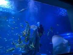 -太平洋海底世界