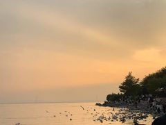 -深圳湾公园(南山区)