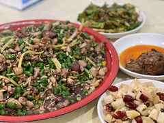 -东吴霸王兔(松青路店)