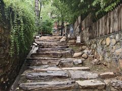 -北京鹫峰国家森林公园