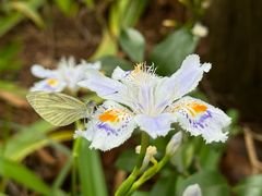 -上海滨江森林公园