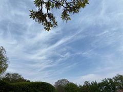 -兄弟俩老李家牛肉汤(总店)