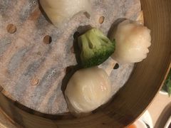 -陶陶居海鲜酒家(新马路店)