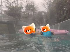 -花水湾第一村温泉大酒店