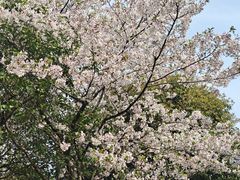 -巢湖姥山岛