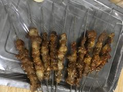 -小老虎