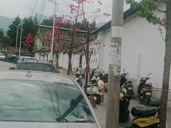 -瑞丰园庭院餐厅·白族传统家常菜