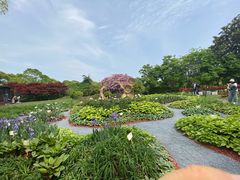-上海鲜花港