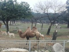 -西安秦岭野生动物园