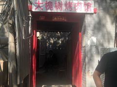 -大槐树烤肉馆