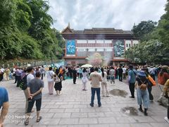 -西双版纳原始森林公园