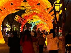 -洛阳市隋唐城遗址植物园
