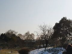 -蜀冈西峰生态公园