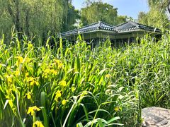 -环城公园