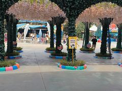 -海合安成都极地海洋公园