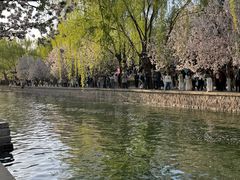 -元大都城垣遗址公园