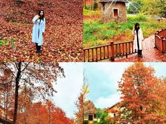 -大余丫山旅游度假区