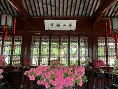 -上海醉白池公园