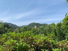 -溪口-滕头旅游景区