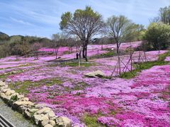 -昆嵛山石门里景区