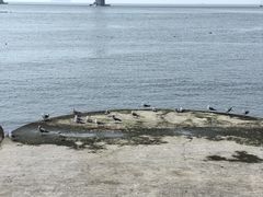 -星海广场