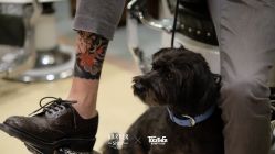 点击看大图 -IMUSE BARBER SHOP