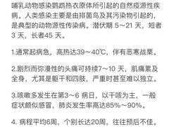 -青石桥花鸟鱼虫市场(叠翠城店)