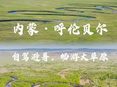 -呼伦贝尔大草原