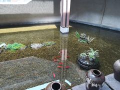 -几荷·恰似故人来(秀水广场店)