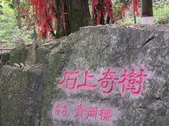 -莫干山风景区