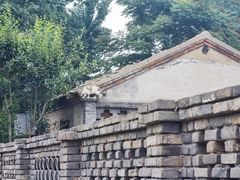 -三里河公园