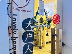 -楼上猫咖(罗湖店)