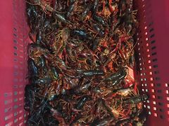 -徽三说·土徽菜·中国徽菜连锁品牌(一中店)