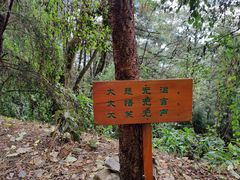 -寂照庵
