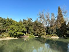-上海滨江森林公园