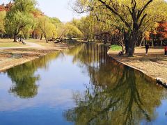 -上海共青森林公园