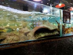 -徐记海鲜(梅溪新天地店)